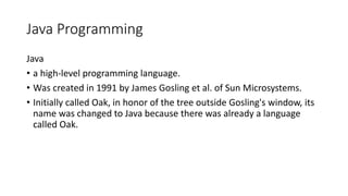 Programming 1.pptx | Free Download