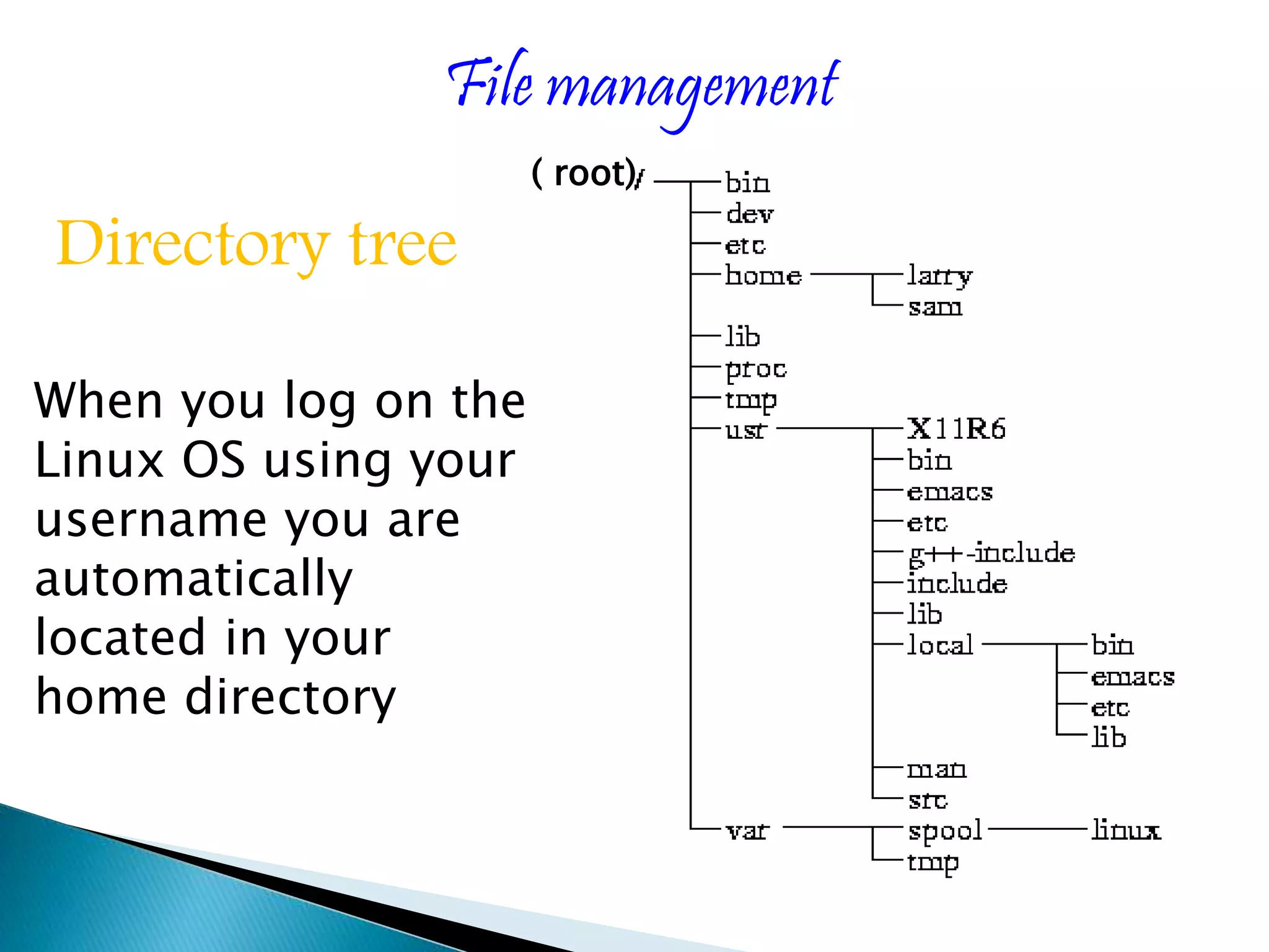 File management Directory tree When you log on the Linux OS using your username you are automatically located in your home directory ( root) 