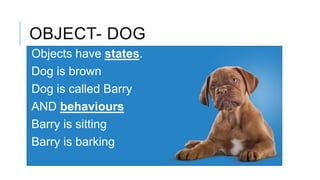 OBJECT- DOG
Objects have states.
Dog is brown
Dog is called Barry
AND behaviours
Barry is sitting
Barry is barking
 