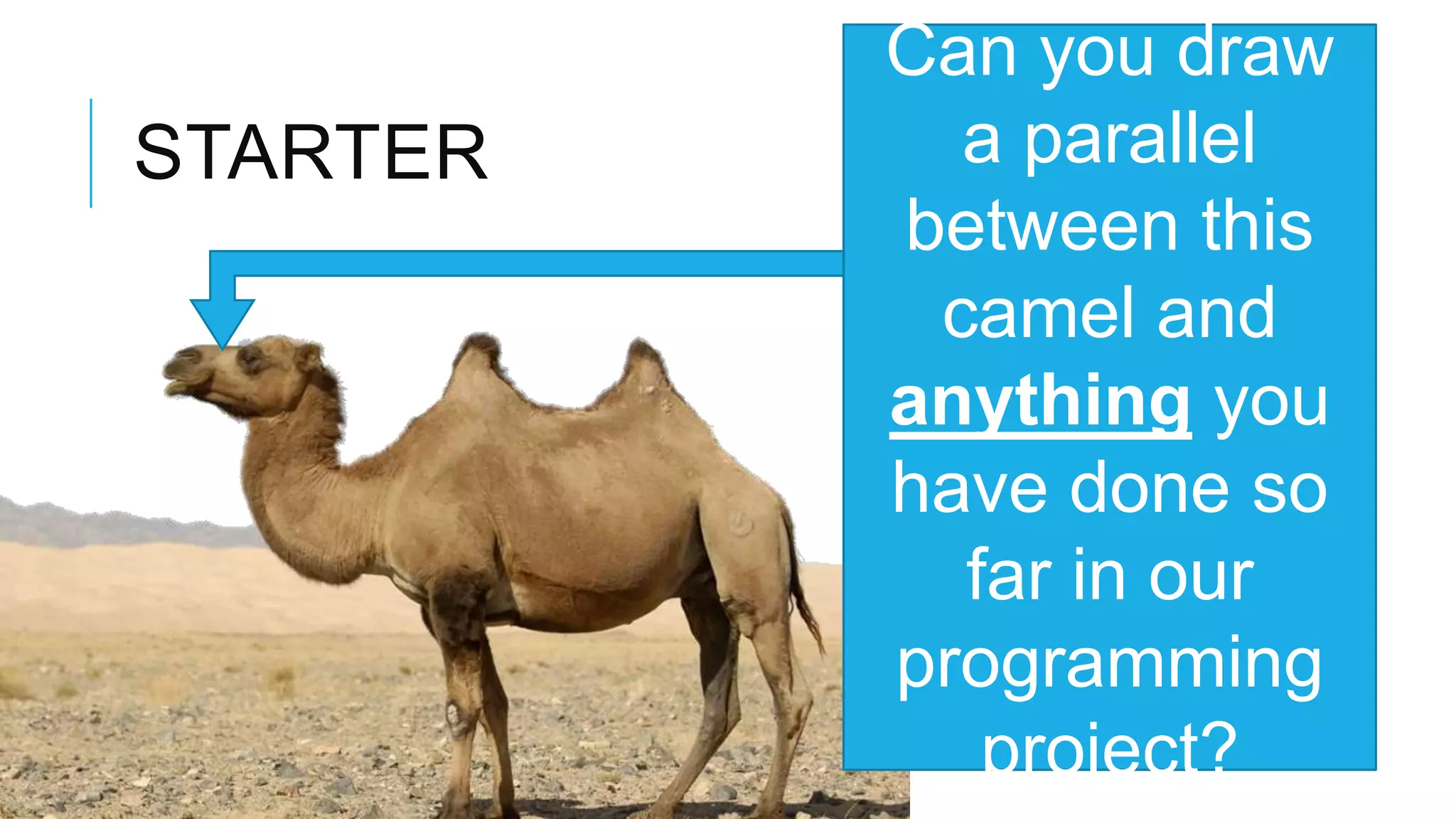Can you draw STARTER a parallel between this camel and anything you have done so far in our programming project? 