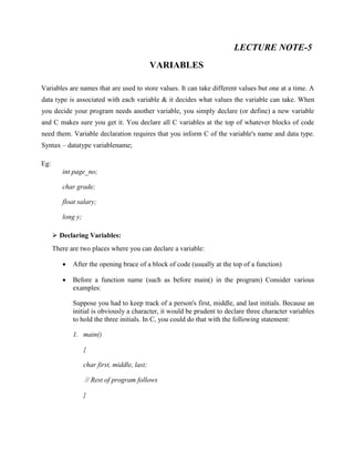 Programming & Data Structure Lecture Notes | PDF