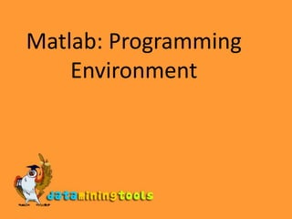 Matlab: Programming Environment 