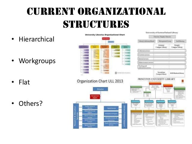 Princeton University Organizational Chart