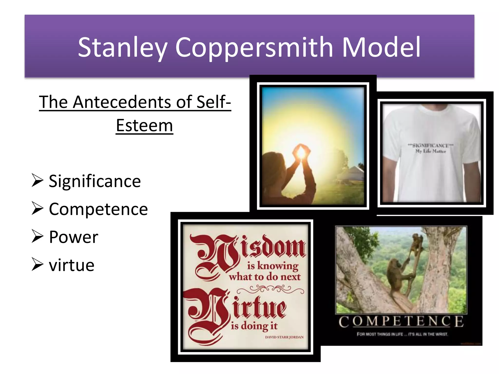 Stanley Coppersmith Model
 The Antecedents of Self-
          Esteem

 Significance
 Competence
 Power
 virtue
 