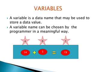 Programming in c | PPTX