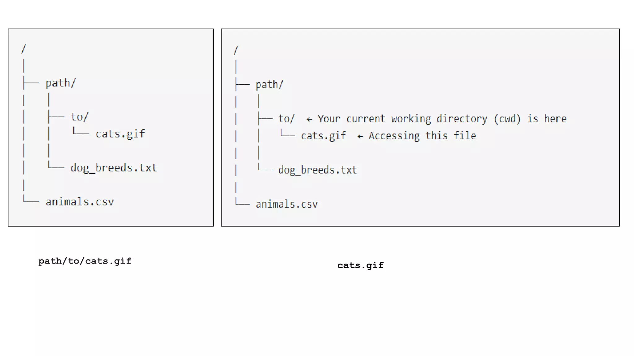 path/to/cats.gif cats.gif 