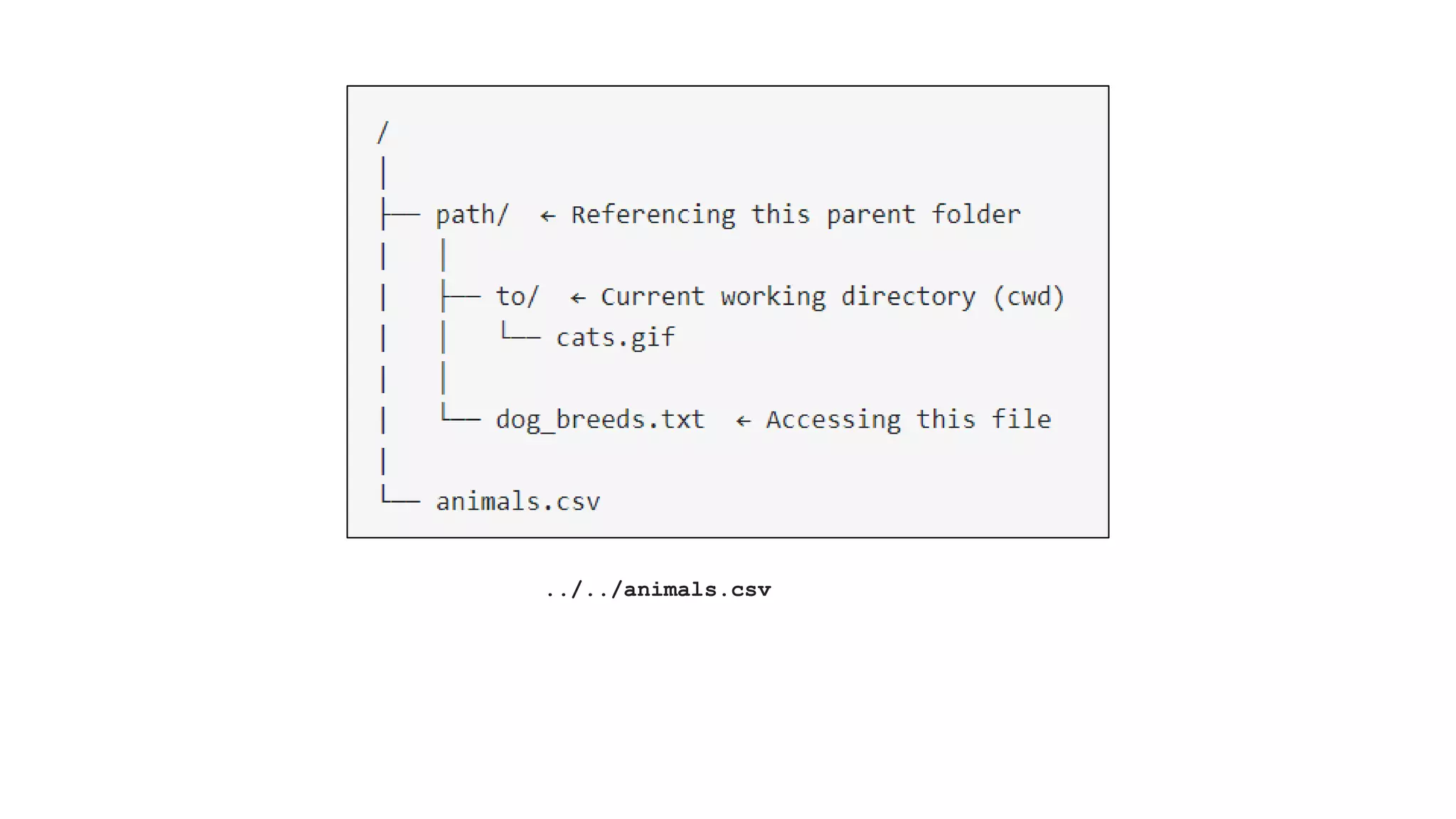 ../../animals.csv 