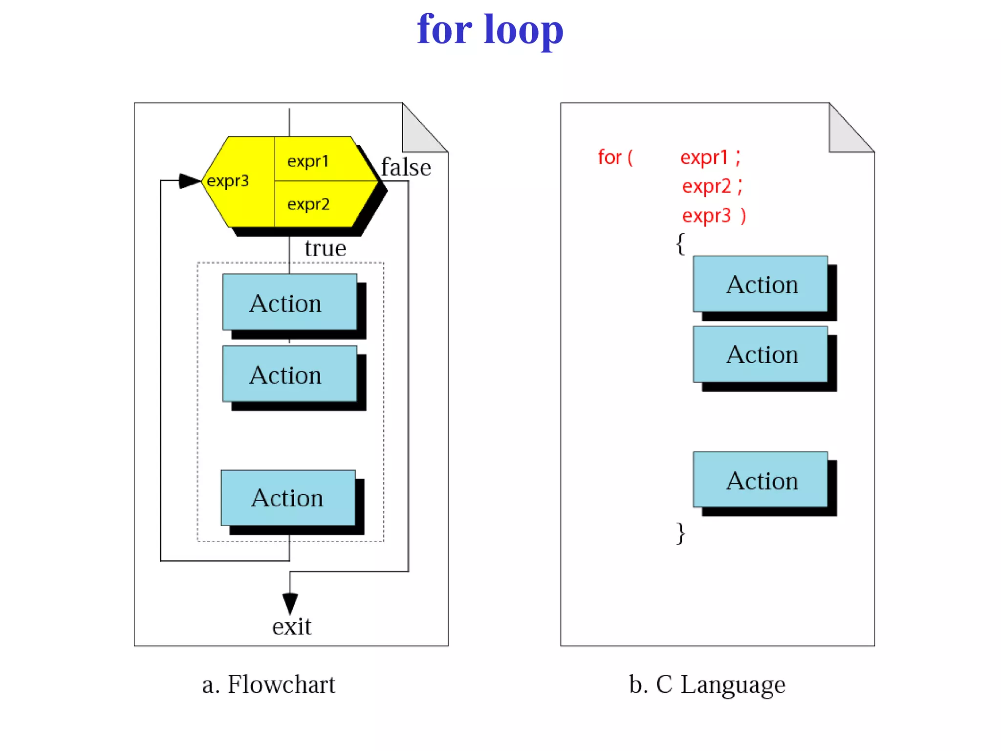 for loop
 