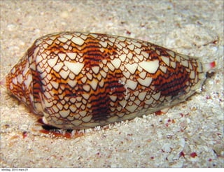 söndag, 2010 mars 21
 