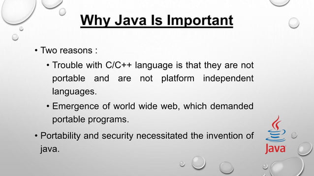 Programming languages at lara technologies | PPT