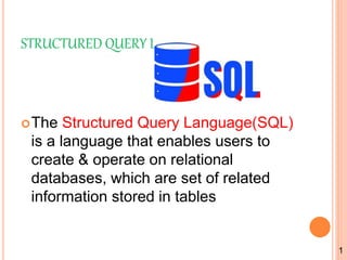 Programming languages java, python, sql and compare between c and ...