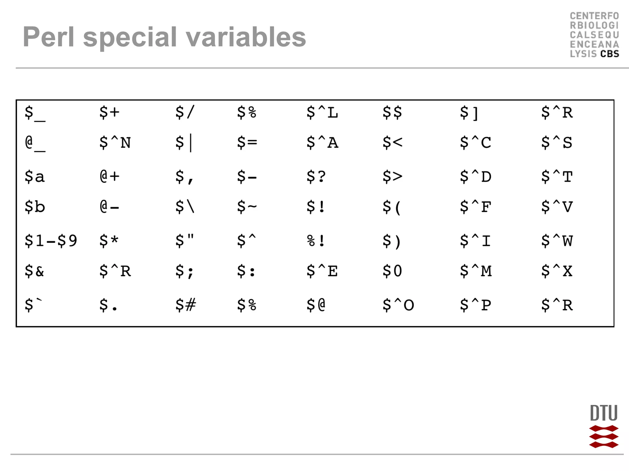 Perl special variables 