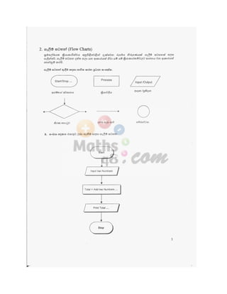 Programming Notes grade 12 teachers guide- 01.pdf