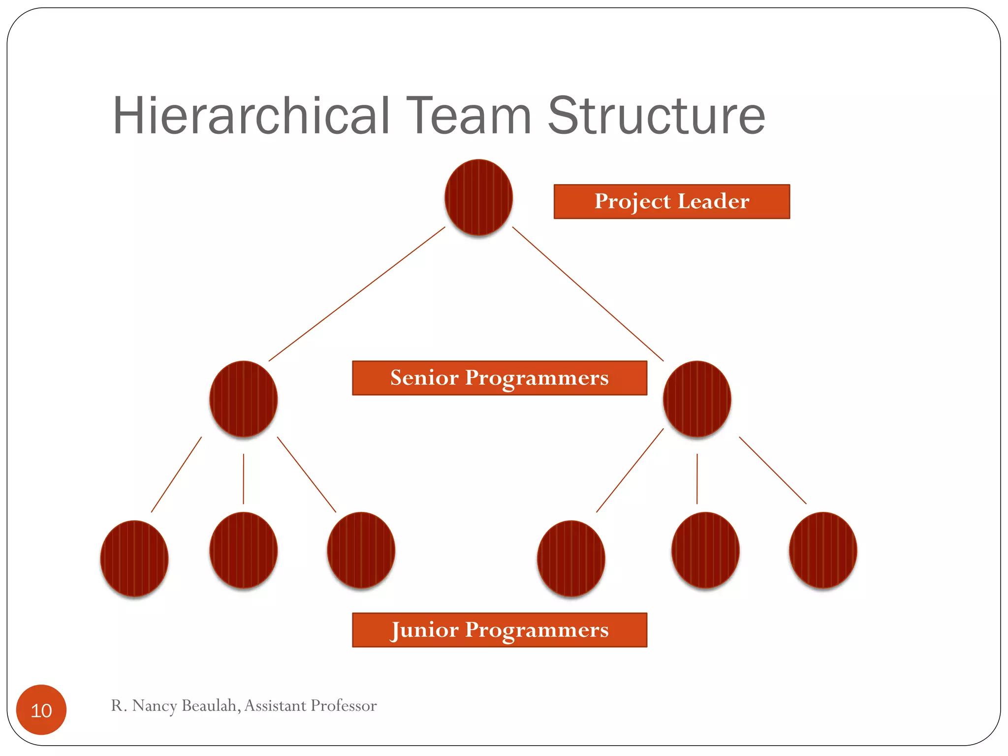 Programming team structure | PPT