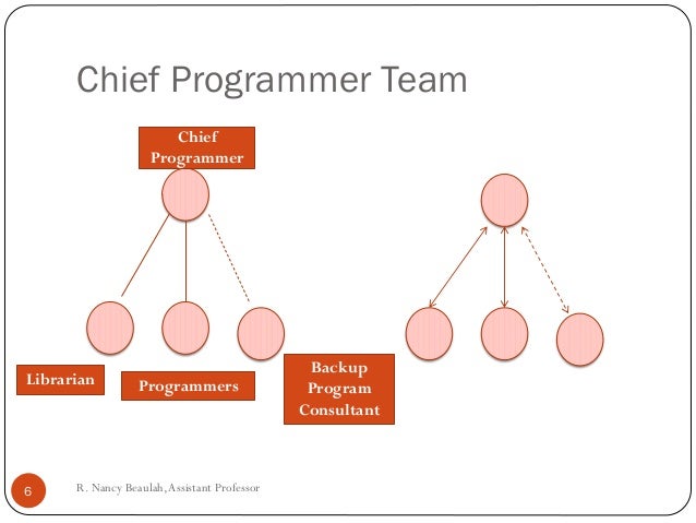 Programming team structure