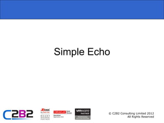 Simple Echo




          © C2B2 Consulting Limited 2012
                     All Rights Reserved
 