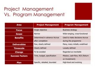 Project Program Areas Program or project management process report | PPTX
