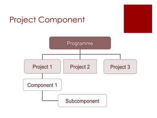Program or project management process report | PPTX