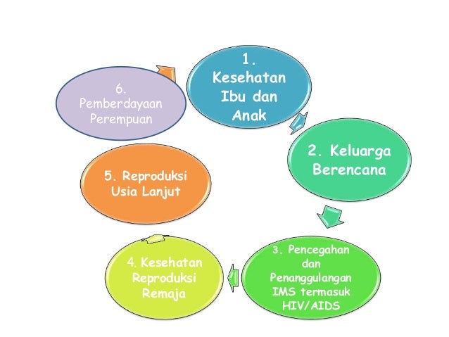 Program pemerintah dalam penanggulangan masalah kesehatan reproduksi