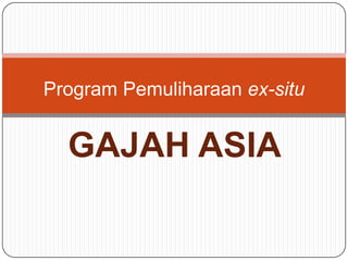 Program Pemuliharaan ex-situ


  GAJAH ASIA
 