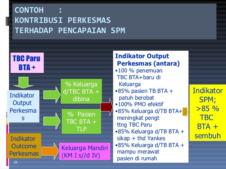 Program perkesmas di puskesmas