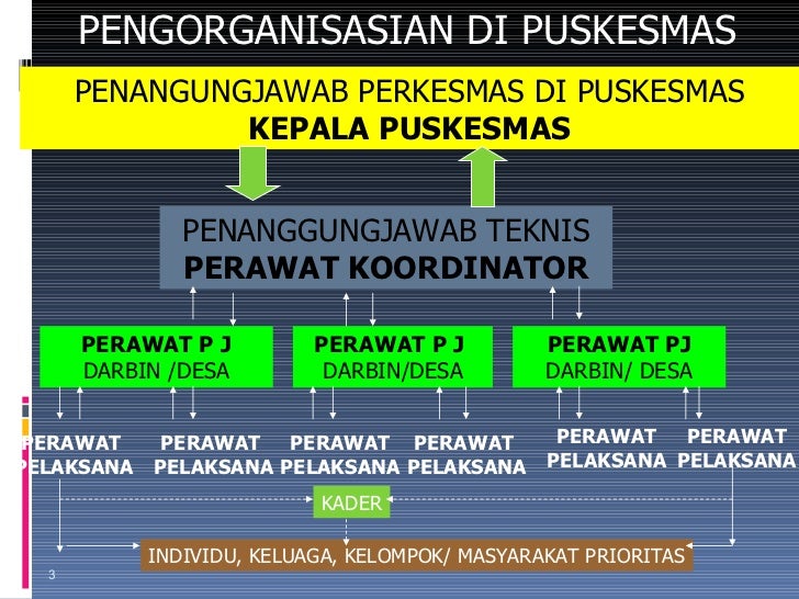 Program perkesmas di puskesmas