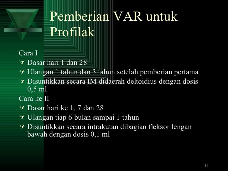 Program rabies di puskesmas