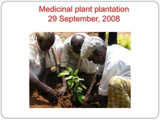 Medicinal plant plantation29 September, 2008