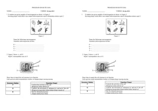 PROGRAM SINAR PETANG
NAMA: _______________________ TARIKH: 26 Jun 2015
1.A student was given samples of microorganism as shown in Figure 2.
Seorang pelajar telah diberi satu sampel mikroorganisma seperti ditunjukkan dalam rajah 2.
Figure 1
Name the followings microorganism.
Namakan mikroorganisma berikut.
P =...........................................................................
S =............................................................................
V =...........................................................................
T =...........................................................................
2. Figure 2 shows a cell X.
Rajah 2 menunjukkan satu sel X.
Draw lines to match the cell structure to its function.
Lukis garisan untuk memadankan struktur sel dengan fungsi masing-masing.
PROGRAM SINAR PETANG
NAMA: _______________________ TARIKH: 26 Jun 2015
1. A student was given samples of microorganism as shown in Figure 2.
Seorang pelajar telah diberi satu sampel mikroorganisma seperti ditunjukkan dalam rajah 2.
Figure 1
Name the followings microorganism.
Namakan mikroorganisma berikut.
P =...........................................................................
S =............................................................................
V =...........................................................................
T =.........................................................................
2. Figure 2 shows a cell X.
Rajah 2 menunjukkan satu sel X.
Draw lines to match the cell structure to its function.
Lukis garisan untuk memadankan struktur sel dengan fungsi masing-masing.
Structure/ Stuktur Function/ Fungsi
P Controls the activities of the cell
Mengawal semua aktiviti sel
Q Controls the movement of substances in and out of the cell
Mengawal pergerakan bahan-bahan keluar masuk sel
R Site for chemical processes
Tempat untuk proses kimia
Structure/ Stuktur Function/ Fungsi
P Controls the activities of the cell
Mengawal semua aktiviti sel
Q Controls the movement of substances in and out of the cell
Mengawal pergerakan bahan-bahan keluar masuk sel
R Site for chemical processes
Tempat untuk proses kimia
Structure/ Stuktur Function/ Fungsi
P Controls the activities of the cell
Mengawal semua aktiviti sel
Q Controls the movement of substances in and out of the cell
Mengawal pergerakan bahan-bahan keluar masuk sel
R Site for chemical processes
Tempat untuk proses kimia
 