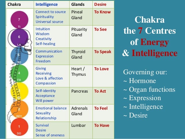 Our Nature Functions As A Governing Body Our Nature Functions As A Governing Body