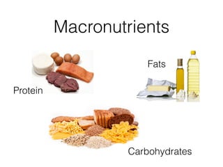 Macronutrients
Carbohydrates
Fats
Protein
 