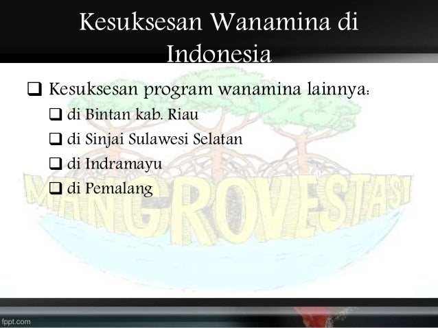 Program wanamina indonesia