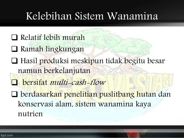 Program wanamina indonesia