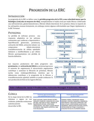 5561965-22098000Progresión de la ERC<br />Introducción<br />274320090297000La progresión de la ERC se define como la pérdida progresiva de la VFG a una velocidad mayor que la fisiológica (1ml/año en mayores de 40a), reemplazándose el tejido renal por tejido fibroso conllevando una nefroesclerosis, glomeruloesclerosis y fibrosis túbulo-intersticial. En la práctica clínica la mayoría de las nefropatías avanzan lentamente, sin embargo existen algunas enfermedades que llegan rápidamente a la IRC Terminal.<br />Patogenia<br />La pérdida de nefronas provoca  una respuesta adaptativa en las nefronas remanentes que conllevan a hipertensión e hiperfiltración glomerular, proteinuria, activación del SRAA, activación tubular con compromiso túbulo-intersticial, transdiferenciación de células epiteliales tubulares a miofibroblastos y por último fibrosis parenquimatosa con pérdida de función definitiva.<br />379095012319000<br />Los mayores productores del daño progresivo son: proteinuria y la activación del SRAA. La proteinuria provoca el aumento de angiotensina II intrarrenal, la angiotensina contribuye a aumentar la filtración de proteínas, fibrosis (actúa como citokina profibrótica), mientras que la aldosterona contribuye a la progresión de la fibrosis y transdiferenciación epitelial, también se puede evidenciar la neo-producción de ECA en los lugares fibrosis.<br />28575271145Daño e Inflamación  inicial  Proliferación y Activación Mesangial  Esclerosis y fibrosis.00Daño e Inflamación  inicial  Proliferación y Activación Mesangial  Esclerosis y fibrosis.<br />205740028892500Clínica<br />En la etapa inicial de la ERC los síntomas y signos no son evidentes, pudiendo evolucionar subclinicamente hasta desarrollar la IRC.<br />3867150-5905500Entre los factores que sabemos que inducen la progresión en la ERC y son fácilmente modificables, encontramos:<br />Si no se detiene la progresión de la ERC, se pueden producir distintos signos y síntomas que pueden definir una disfunción multiorgánica:<br />,[object Object]