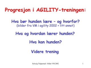 Progresjon i AGILITY-treningen: Hva bør hunden lære – og hvorfor? (bilder fra VM i agility 2002 + litt annet) Hva og hvordan lærer hunden?   Hva kan hunden? Videre trening   