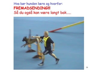 Hva bør hunden lære og hvorfor:   FREMADSENDING!!! Så du også kan være langt bak….. 