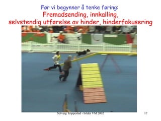 Før vi begynner å tenke føring:  Fremadsending,   innkalling, selvstendig utførelse av hinder,   hinderfokusering 