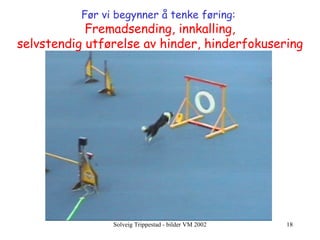 Før vi begynner å tenke føring:  Fremadsending,   innkalling, selvstendig utførelse av hinder,   hinderfokusering 