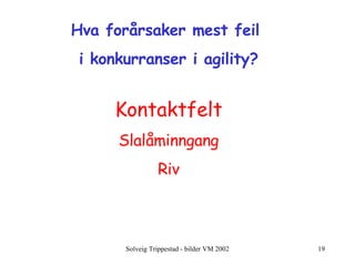 Hva forårsaker mest feil  i konkurranser i agility? Kontaktfelt Slalåminngang Riv 