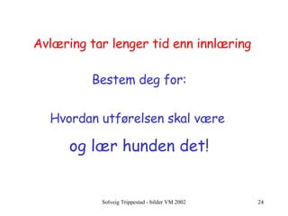 Avlæring tar lenger tid enn innlæring Bestem deg for: Hvordan utførelsen skal være  og lær hunden det! 