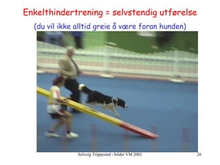 Enkelthindertrening = selvstendig utførelse (du vil ikke alltid greie å være foran hunden) 