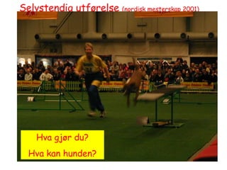 Selvstendig utførelse  (nordisk mesterskap 2001) Hva gjør du? Hva kan hunden? 