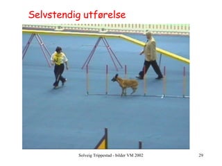 Selvstendig utførelse 