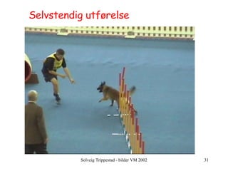 Selvstendig utførelse 