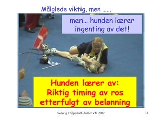 Målglede viktig, men …... Hunden lærer av: Riktig timing av ros etterfulgt av belønning men… hunden lærer ingenting av det ! 