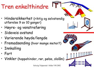 Tren enkelthindre Hindersikkerhet  (riktig og selvstendig utførelse 9 av 10 ganger) Høyre- og venstreføring Sideveis avstand Varierende høyde/lengde Fremadsending  (hvor mange meter?) Innkalling  Fart Vinkler  (hoppehinder, rør, pølse, slalåm) 