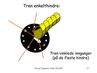 Tren vinklede innganger (på de fleste hindre) Tren enkelthindre: 