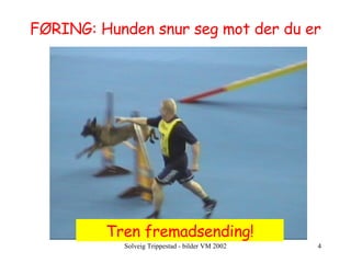 Tren fremadsending! FØRING: Hunden snur seg mot der du er 