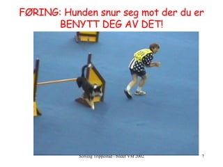 FØRING: Hunden snur seg mot der du er BENYTT DEG AV DET! 