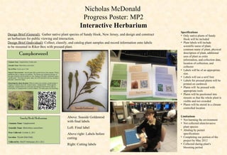 Nicholas McDonald
                                                     Progress Poster: MP2
                                                    Interactive Herbarium
                                                                                                             Specifications
Design Brief (General): Gather native plant species of Sandy Hook, New Jersey, and design and construct      • Only native plants of Sandy
an herbarium for public viewing and interaction.                                                               Hook will be included
Design Brief (Individual): Collect, classify, and catalog plant samples and record information onto labels   • Plant labels will include
to be mounted in Riker Box with pressed plant.                                                                 scientific name of plant,
                                                                                                               common name of plant, physical
                                                                                                               description of plant, additional
                                                                                                               uses of plant as extra
                                                                                                               information, and collection date,
                                                                                                               location of collection, and
                                                                                                               collector
                                                                                                             • Labels will be of an appropriate
                                                                                                               size.
                                                                                                             • Labels will use a serif font
                                                                                                             • Labels for pressed plants will be
                                                                                                               printed on cardstock
                                                                                                             • Plants will be pressed with
                                                                                                               appropriate tools
                                                                                                             • Plants will be positioned into
                                                                                                               mounts so that the whole plant is
                                                                                                               visible and not crowded
                                                                                                             • Plants will be stored in a climate
                                                                                                               controlled location


                                           Above: Seaside Goldenrod                                          Limitations
                                                                                                             • Not harming the environment
                                           with final labels                                                 • Not collected alien/invasive
                                           Left: Final label                                                   plant species
                                                                                                             • Abiding by permit
                                           Above right: Labels before                                          specifications
                                           cutting                                                           • Completing our portion of the
                                                                                                               project by May 2012
                                           Right: Cutting labels                                             • Collected during plant's
                                                                                                               blooming period
 
